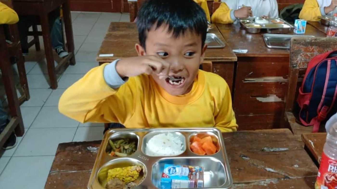 Pemerintah Butuh Peran Swasta untuk Sukseskan Program Makan Bergizi Gratis