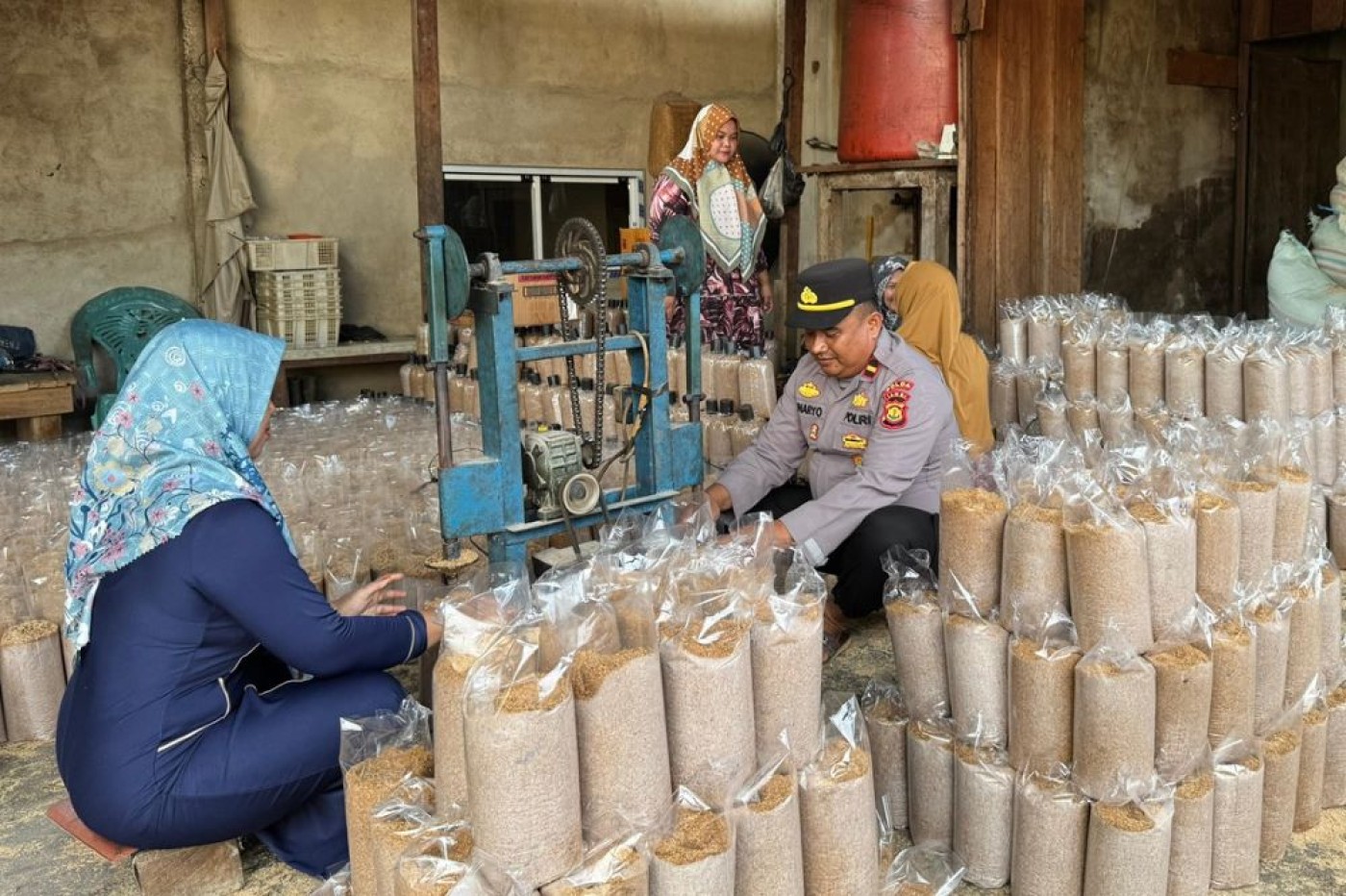 Sunaryo Gerakkan Ekonomi Warga Lewat Jamur Tiram yang Menguntungkan