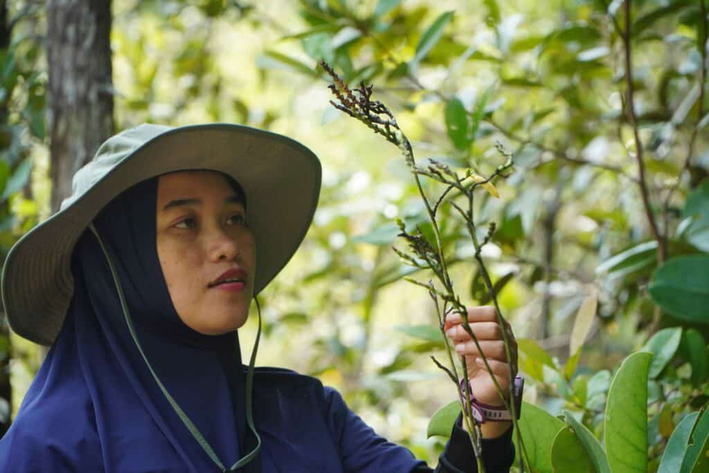 Menelusuri Keindahan Anggrek di Habitat Orangutan TRC Mangkutup