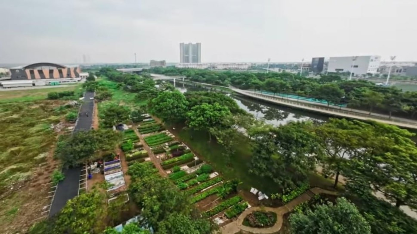 Cara PANI Serap Jutaan Ton Karbon: Solusi Inovatif untuk Lingkungan