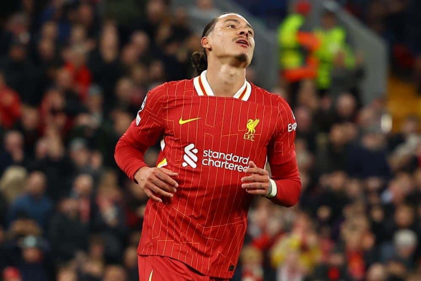 Bursa Transfer Liga Italia: Napoli Jual Osimhen, Incar Striker Liverpool