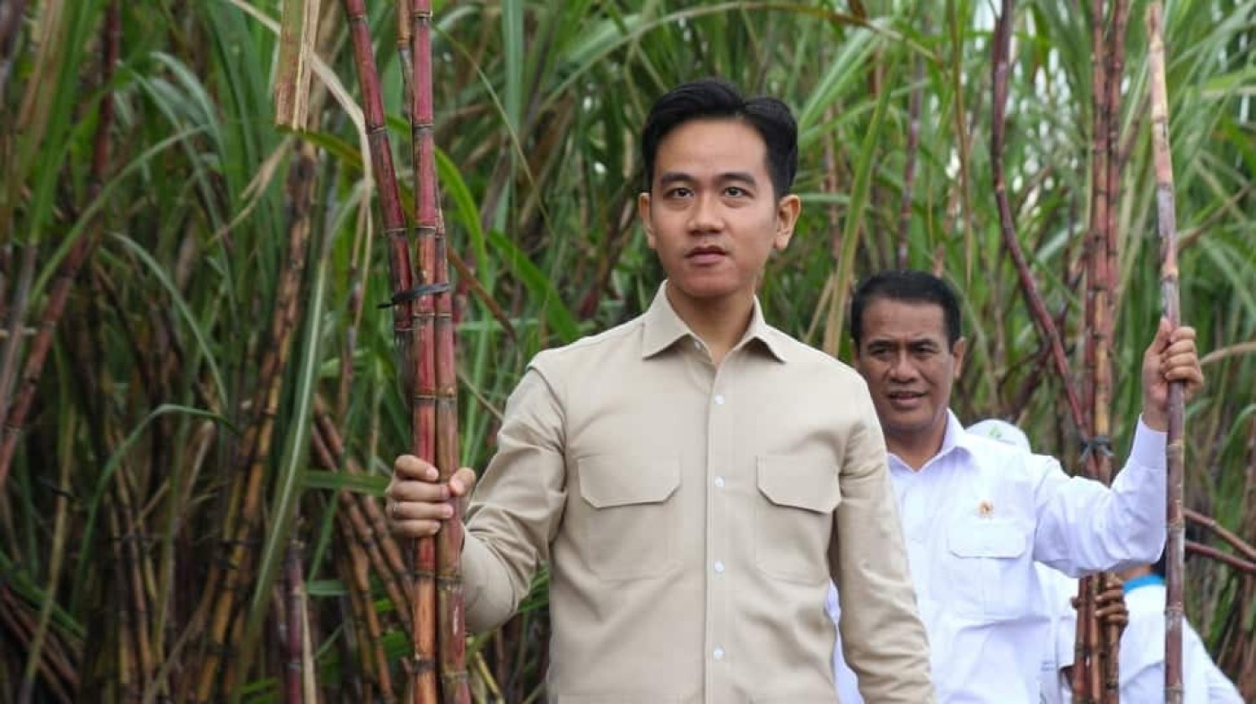 Gibran Bakal Berkantor di Papua? Yusril Ungkap Tugas Khusus Prabowo