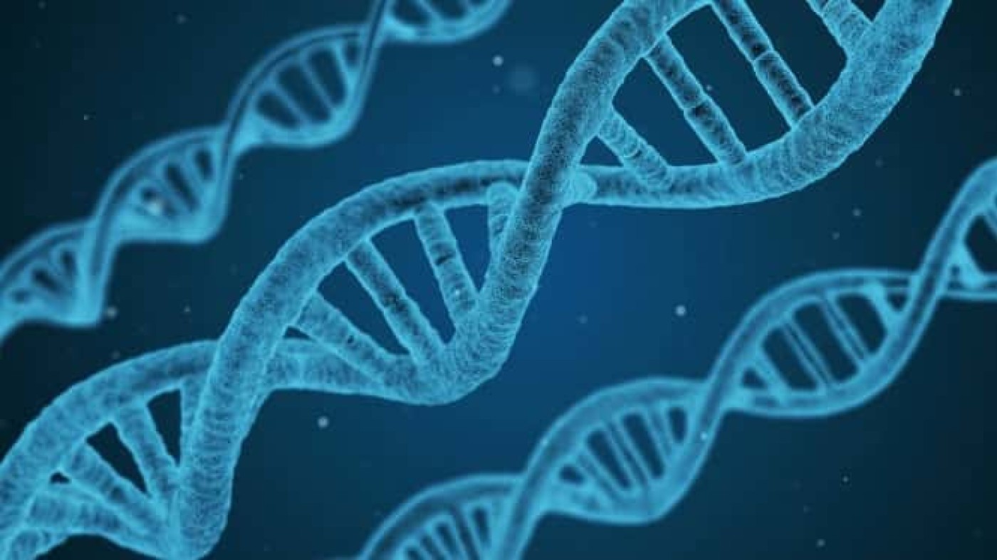 DNA Unik dan ‘Urban Chess’ Transformasi Lahan Terabaikan Jadi Ladang Emas