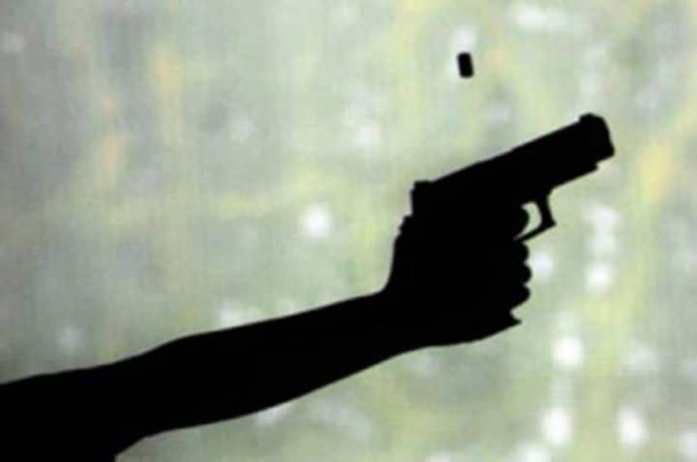 Pria di Depok Ditangkap Polisi Setelah Pamer Senpi ke Warga