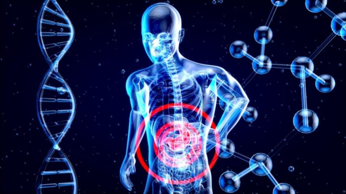 Orang Dewasa Bisa Cacingan? Risiko Penyumbatan Usus & Komplikasi Organ Serius