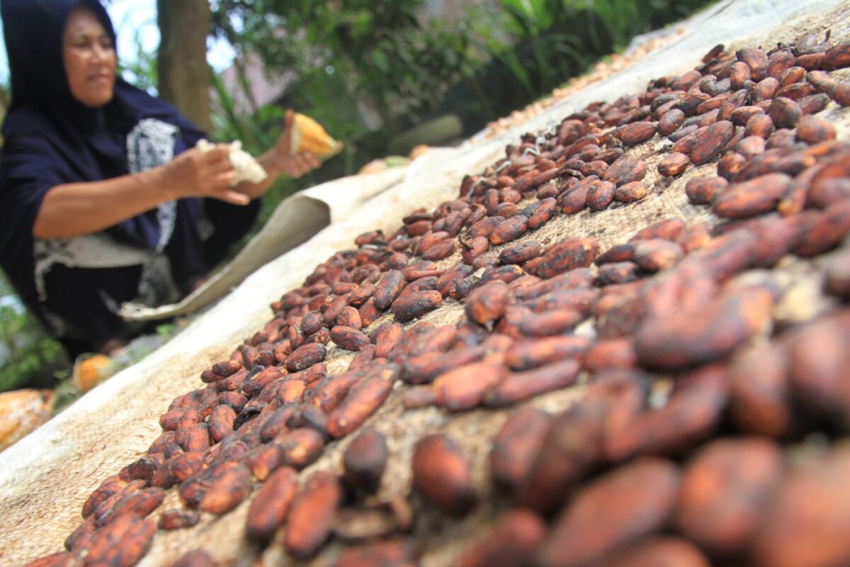 Mentan Amran Dorong Percepatan Hilirisasi, Harga Produk Naik Puluhan Kali