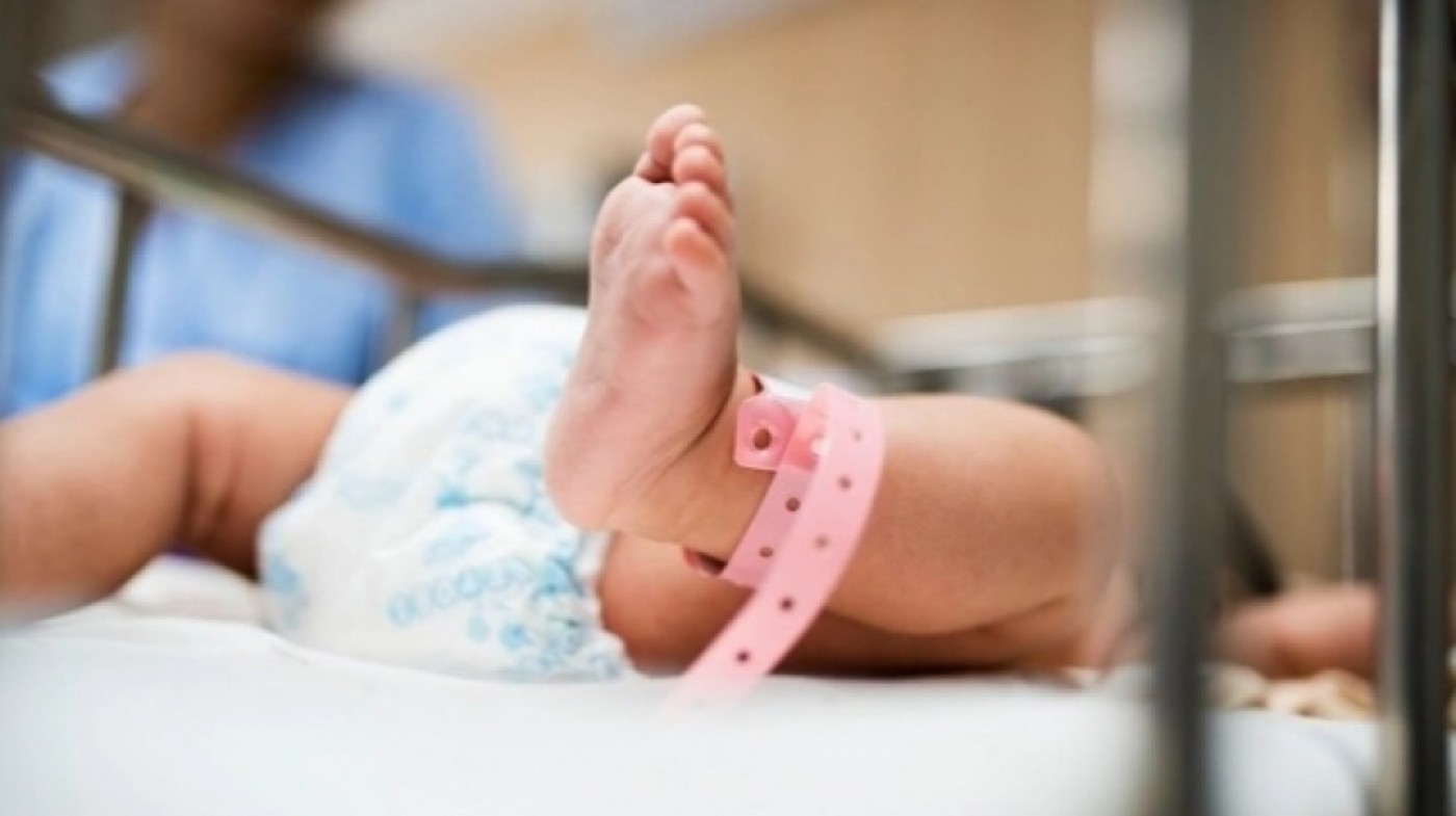 Pecah Rekor! Bayi Tertua Lahir dari Embrio Beku 30 Tahun Lalu Pecah Rekor! Bayi Tertua Lahir dari Embrio Beku 30 Tahun Lalu
