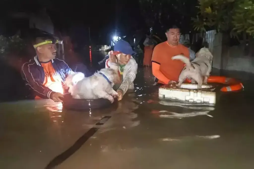 Badai Tropis Bualoi Tewaskan 11 di Filipina, Ribuan Warga Mengungsi