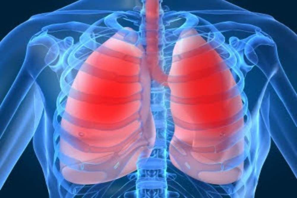 Tim Dokter China Sukses Transplantasi Paru-paru Babi ke Manusia, Pertama di Dunia