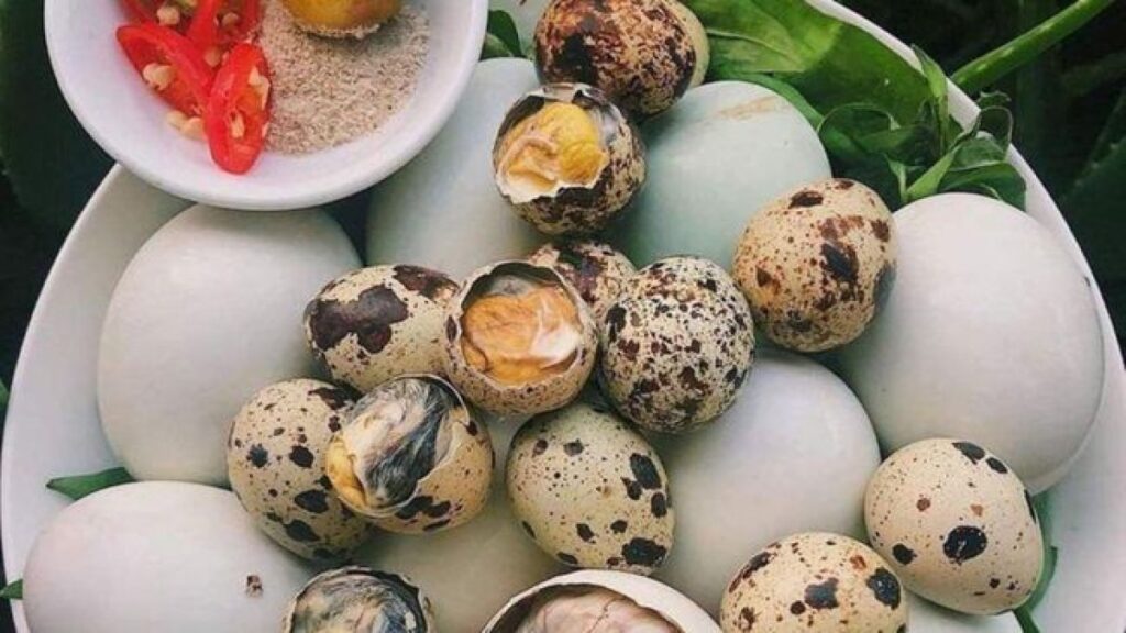 5 Makanan Tradisional Paling Aneh dari Berbagai Negara yang Bikin Penasaran!