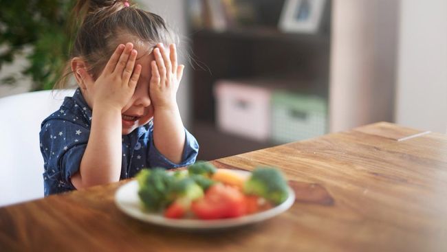 Mengenal Picky Eating pada Anak: Dampak Serius dan 7 Cara Ampuh Mengatasinya!