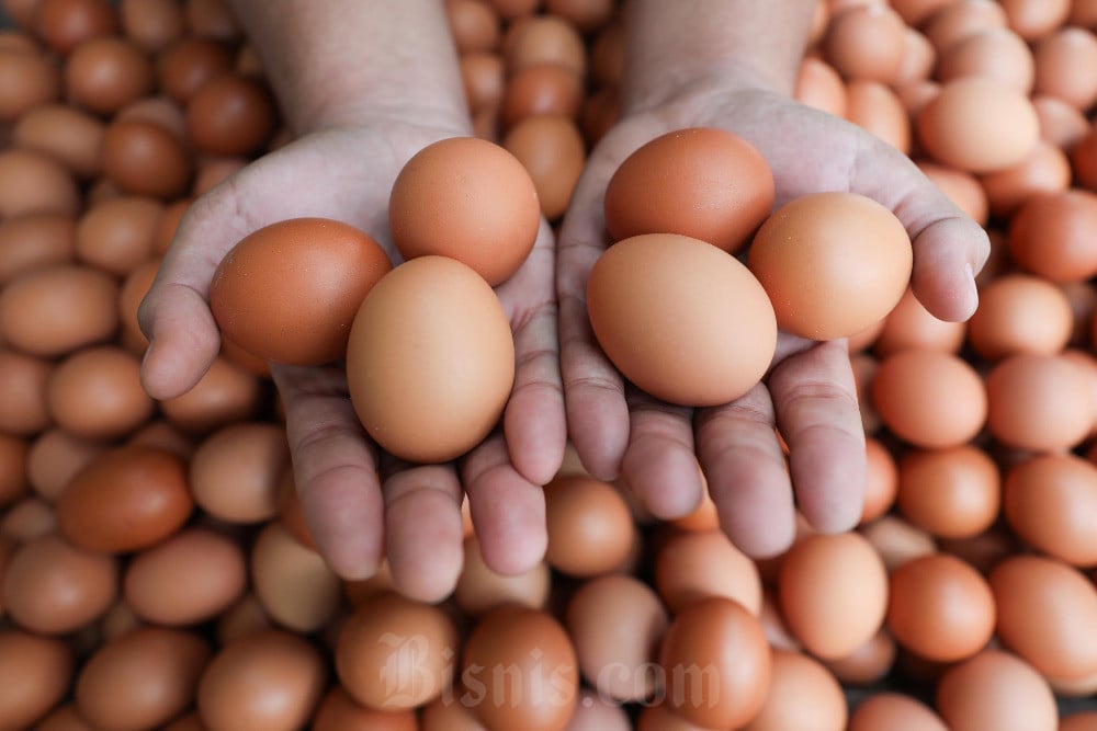 7 Kelompok Makanan Penting untuk Jaga Kesehatan Tulang secara Optimal