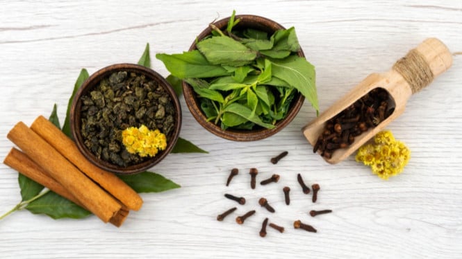 WHO Apresiasi Indonesia, Kunci Sukses Pengembangan Obat Herbal yang Mendunia!