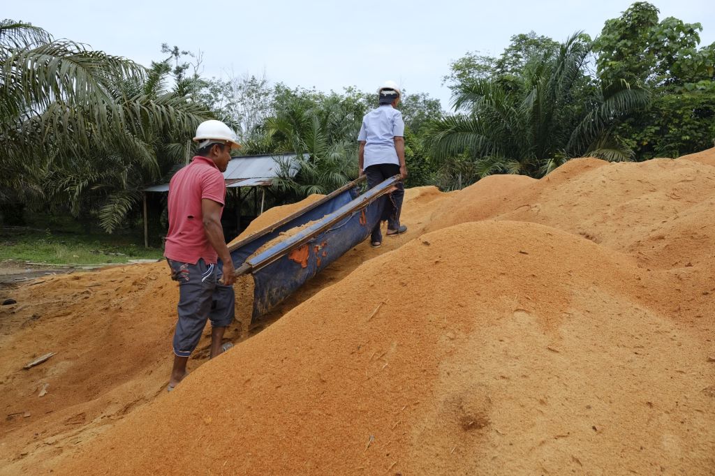 PLN EPI Rebranding Biomassa Jadi Bioenergi, Siap Jadi Motor Hijau Transisi Energi