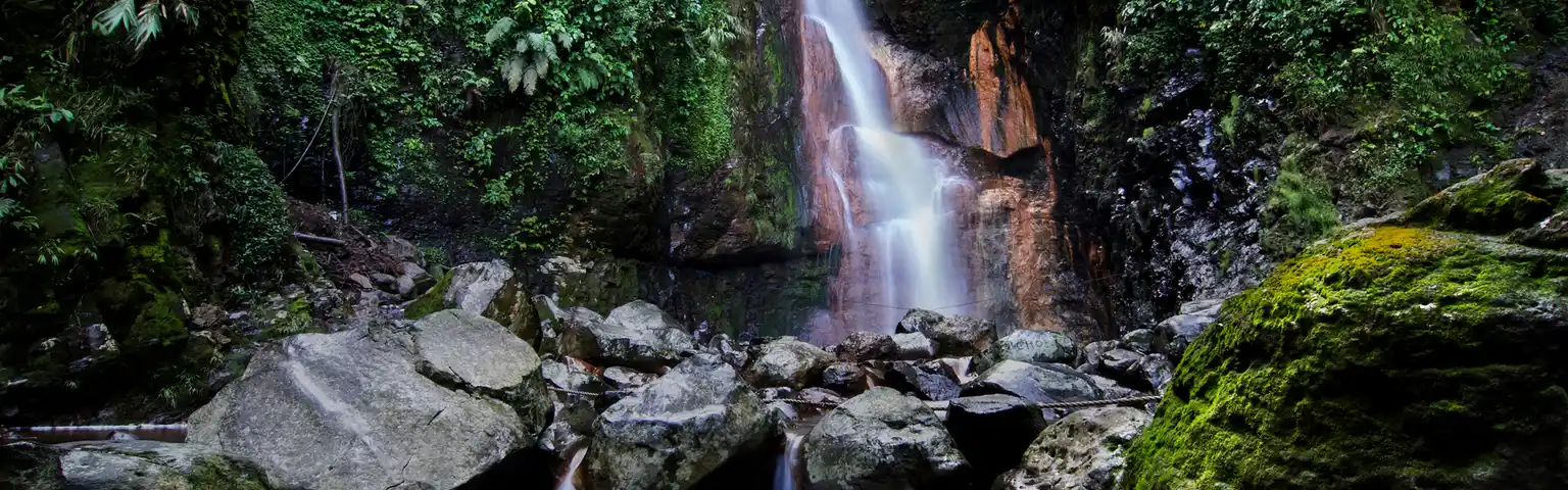 8 Rekomendasi Curug Dekat Stasiun Bogor dan Informasi Jarak Tempuh Terbaru