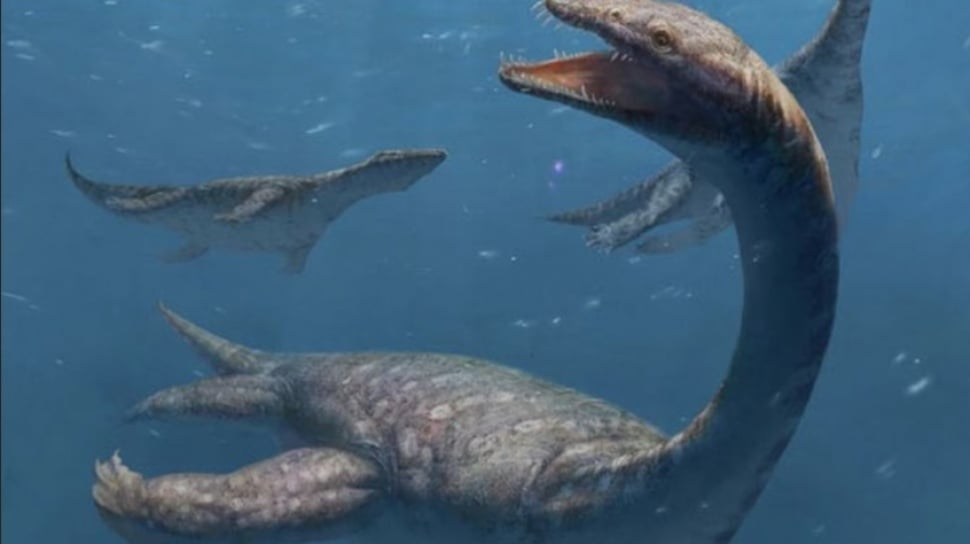 Fosil Reptil Laut Berleher Panjang Zaman Purba Ditemukan di China, Bukti Evolusi Lautan