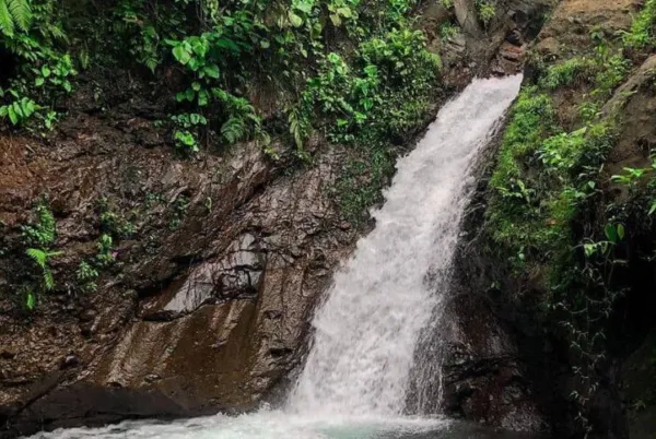 Curug Panganten Ciamis: Air Terjun Kembar Viral dengan Pesona Alam Memukau