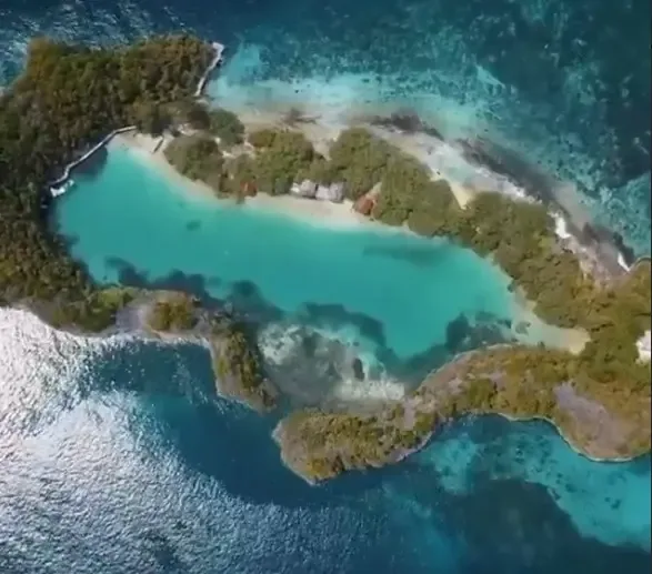 9 Rekomendasi Pantai Indonesia Paling Indah untuk Snorkeling dan Menyelami Surga Bawah Laut