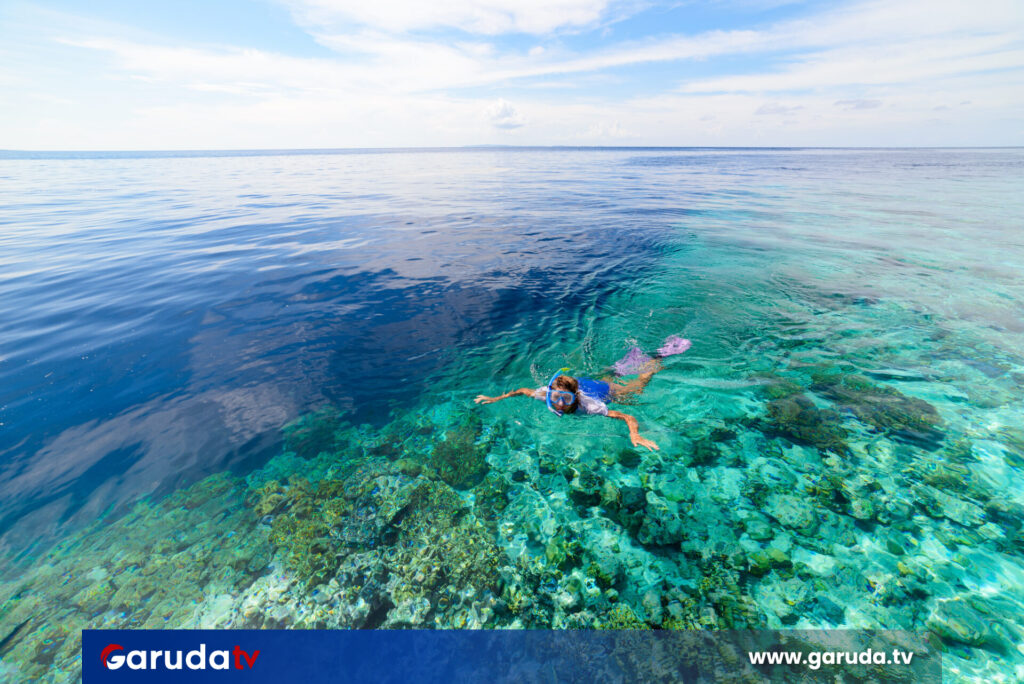 Spot Diving Terbaik di Indonesia: Rekomendasi Destinasi Favorit Para Penyelam
