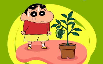 Tiongkok Tunda Tayang Dua Film Jepang, Hubungan Kedua Negara Makin Memanas?