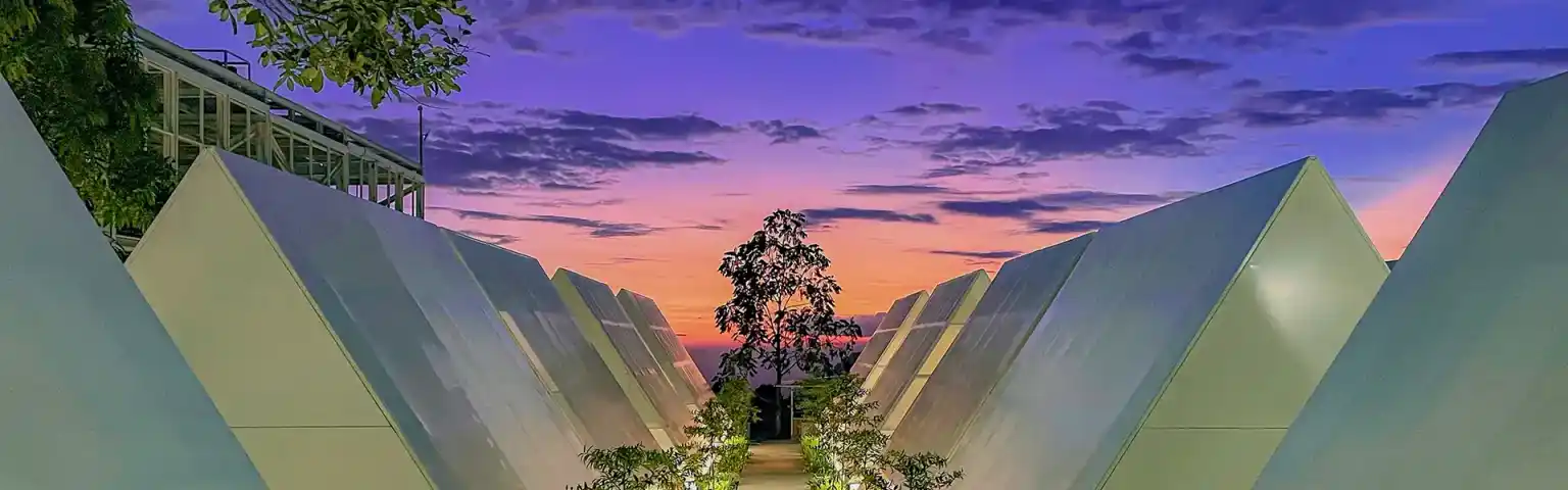3 Tempat Glamping Tawangmangu: Pilihan Wisata Alam Nyaman untuk Liburan Seru