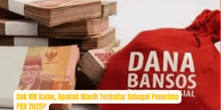Cek NIK Kamu: Apakah Masih Terdaftar Sebagai Penerima PKH 2025? Ini Cara Verifikasinya!