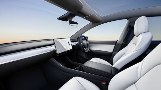 Laporan Mengerikan: Risiko Pintu Mobil Tesla Bahayakan Keselamatan Anak, Wajib Tahu!