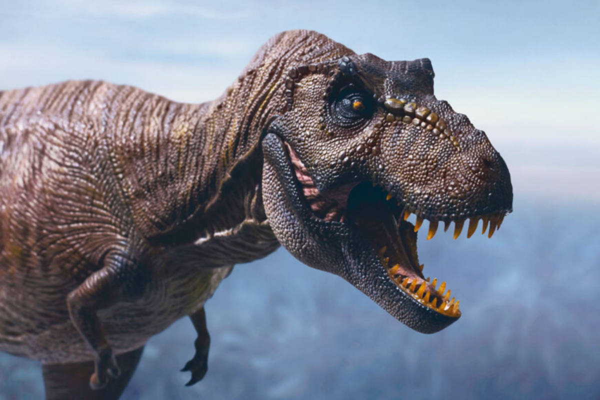 Paleontolog Ungkap 4 Cara Dinosaurus Berlari, Mirip Burung Unta
