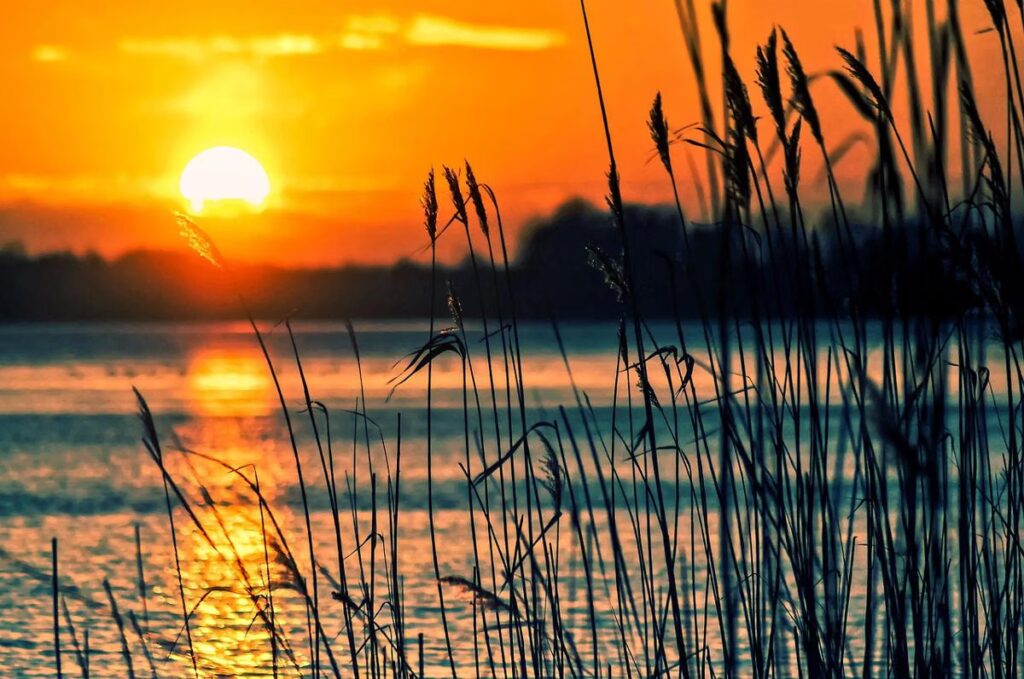 5 Hal Menarik tentang Solstis yang Menandai Pergantian Musim di Langit Malam
