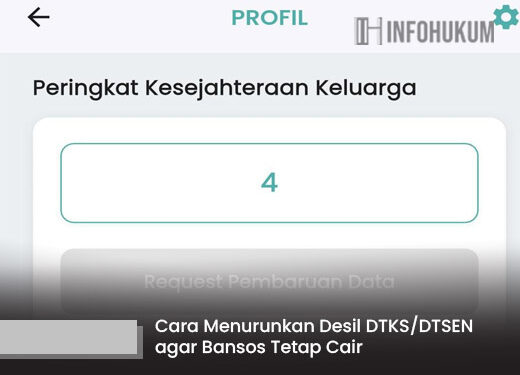 Panduan Praktis Turunkan Desil DTKS/DTSEN untuk Jaminan Cairnya Bansos dengan Mudah