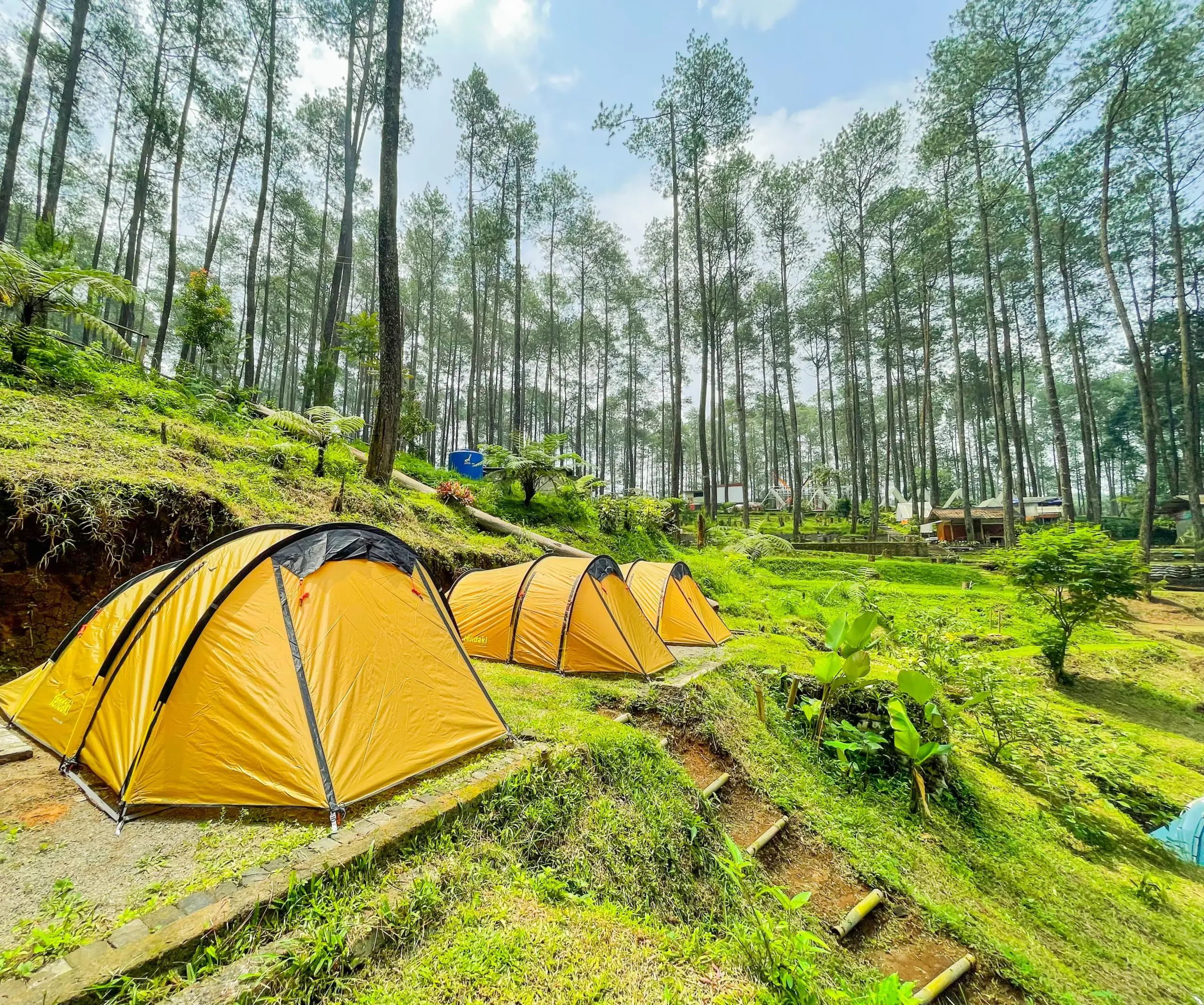 Rekomendasi Tempat Wisata Asri untuk Liburan Tenang dan Menyatu dengan Alam