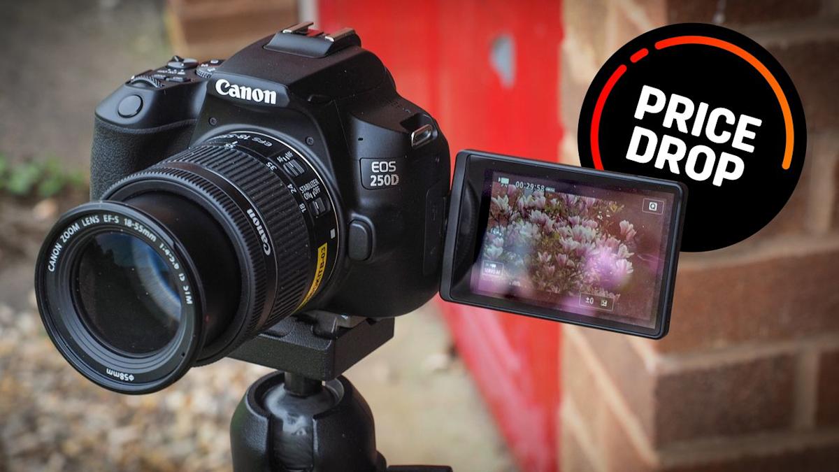 Canon EOS 250D Turun Harga Terbesar, Apakah Masih Layak Dibeli di 2025? Canon EOS 250D Turun Harga Terbesar, Apakah Masih Layak Dibeli di 2025?