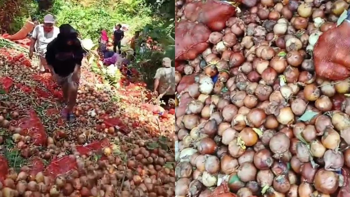 Bawang Bombay Dijual Rp5.000 per Buah, 7 Potret Serbuan Warga Batam Rebutan Stok Melimpah
