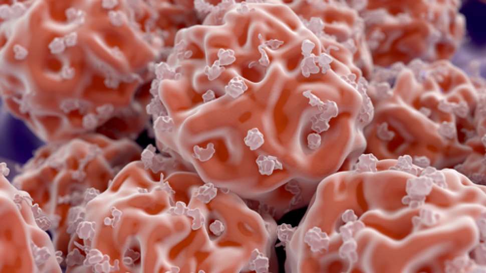 Terobosan Stem Cell Terkini oleh Ilmuwan Indonesia: Manfaat Lebih dari Sekadar Estetika