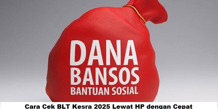 Cara Cek BLT Kesra 2025 Lewat HP Cepat & Mudah: Panduan Lengkap Cek Status Bantuan