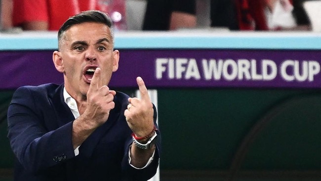 Bocoran 5 Calon Pelatih Timnas Indonesia Lengkap dan Terpercaya
