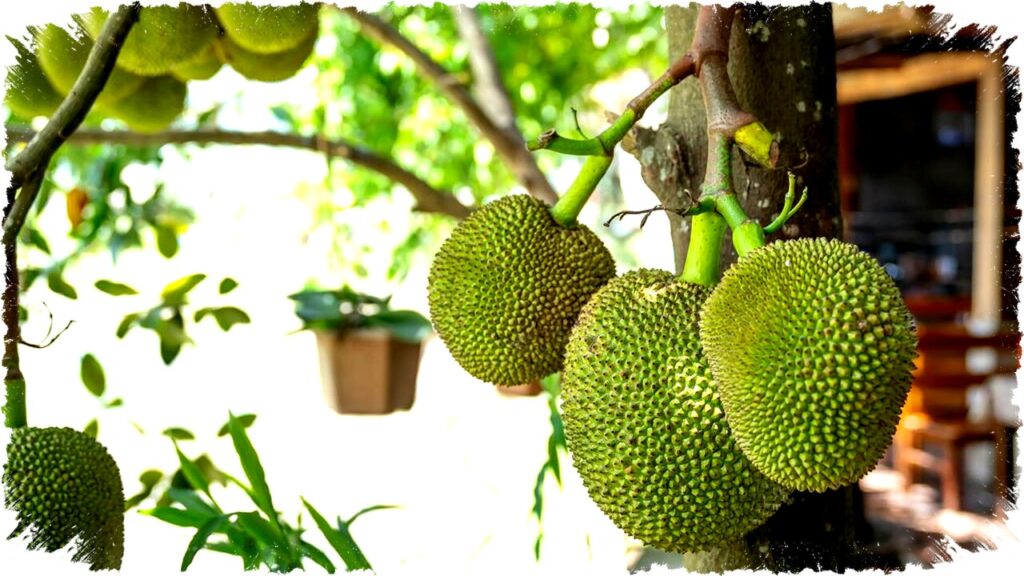 10 Rekomendasi Pohon Buah Tahan Teduh, Tidak Butuh Sinar Matahari Penuh untuk Berbuah Optimal