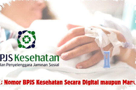 Cara Cek Nomor BPJS Kesehatan Digital & Manual Mudah Lewat Aplikasi, WA, Website, dan Kantor BPJS