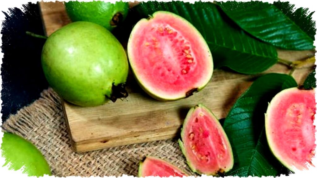 4 Manfaat Jambu di Musim Hujan: Tingkatkan Imun, Redakan Flu, Pencernaan Lancar & Tidur Nyenyak