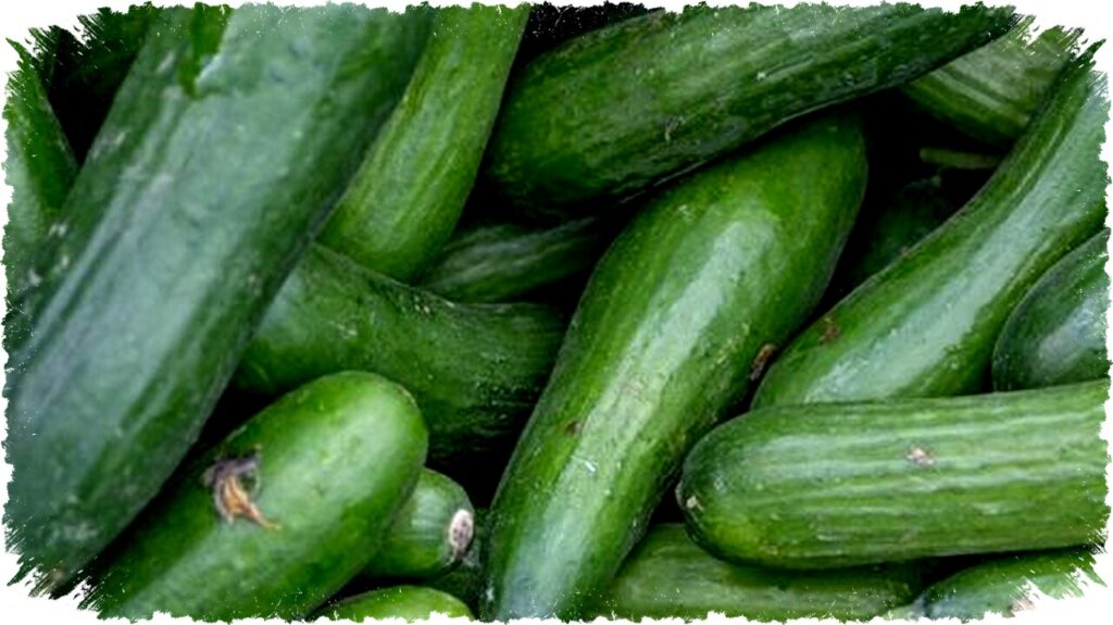 7 Manfaat Kulit Mentimun untuk Tubuh: Dari Pencernaan hingga Tingkatkan Imun, Wajib Coba!