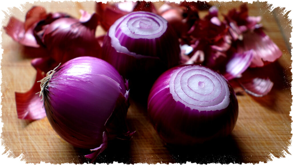 Cara Mengolah Kulit Bawang Merah Jadi Pupuk Cair Alami, Mudah & Hemat untuk Tanaman Sehat