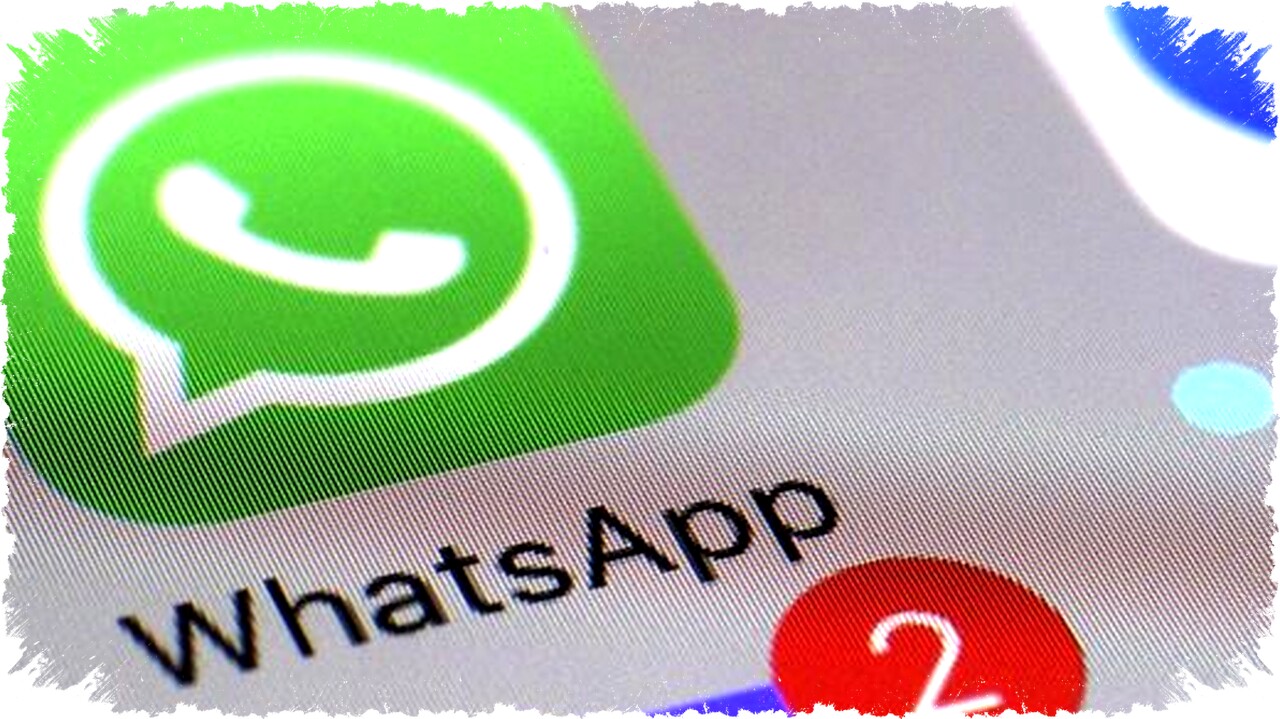 Notifikasi WhatsApp Tidak Muncul di Layar HP? Begini 10 Cara Mudah Mengatasinya!