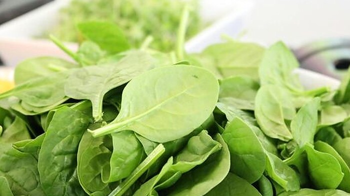 7 Manfaat Bayam untuk Kesehatan: Nutrisi Lengkap, Jaga Jantung, Otak, dan Turunkan Tekanan Darah