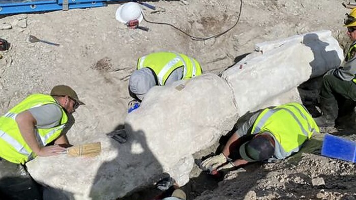 Geger! Fosil Tulang Dinosaurus Raksasa 1.361 Kg Ditemukan di Tempat Parkir Utah, Siap Diteliti