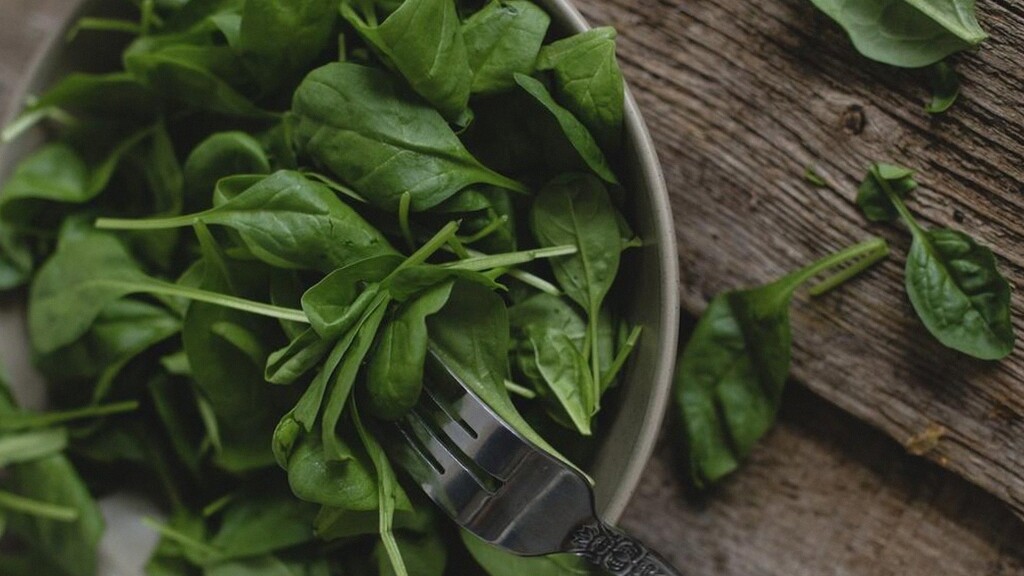 Cara Merawat Sayur Daun agar Tidak Cepat Layu Setelah Dipanen: 7 Tips Praktis dan Efektif