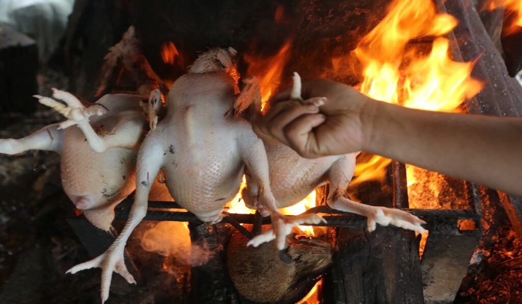 Harga Ayam Terkini per Wilayah: Daftar Lengkap Update Terbaru Hari Ini