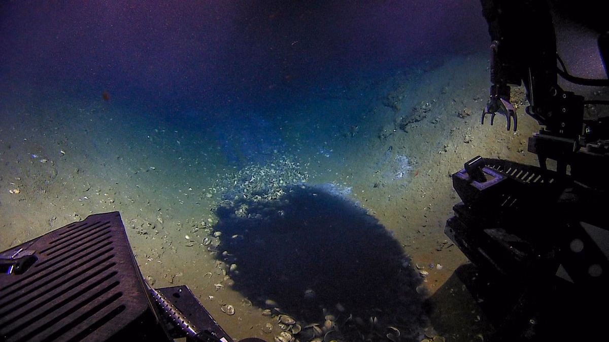 5 Fakta Unik Brine Pool: Kolam Air Asin Mematikan dan Misterius di Dasar Laut