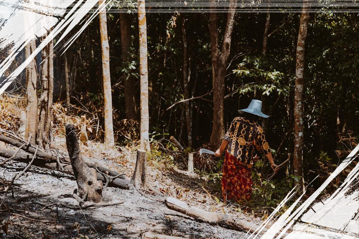 Dampak Deforestasi Terhadap Siklus Air dan Cara Mengatasinya secara Efektif