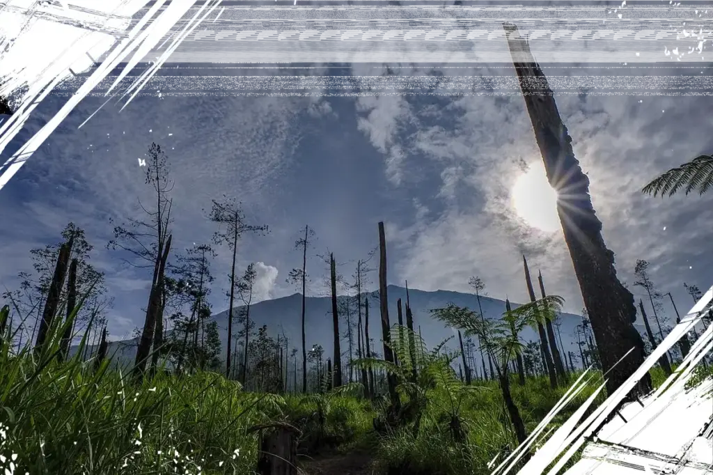 5 Satwa Langka di Taman Nasional Gunung Merbabu yang Perlu Dilindungi Segera