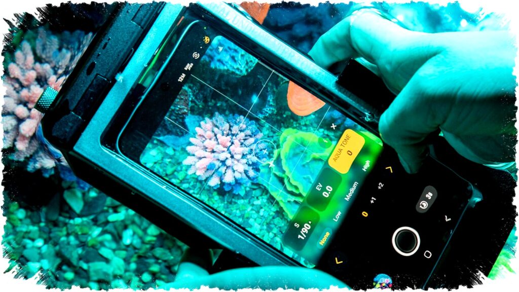 Samsung Galaxy S26, Benarkah Tahan Air Sepenuhnya? Ini Fakta di Balik Sertifikasi IP68